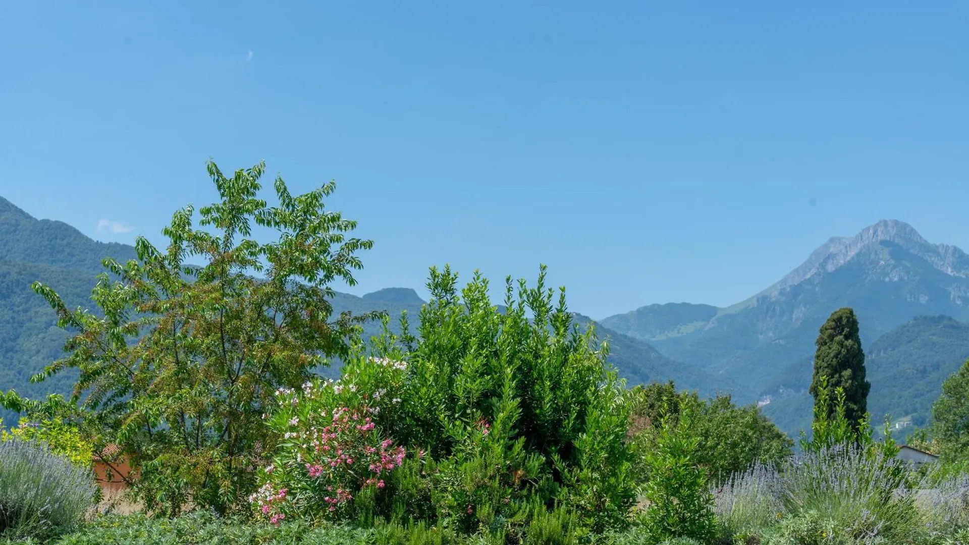 Holiday home Al Maneggio - Tuscan Farmhouse Barga Italy