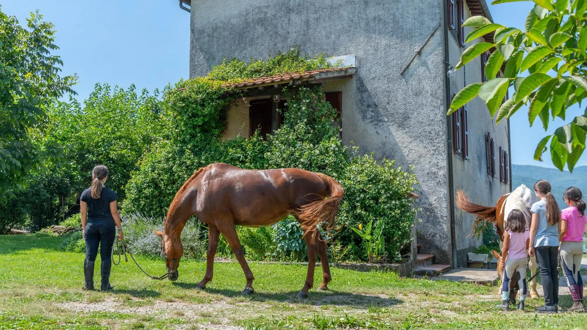 Al Maneggio - Tuscan Farmhouse Barga Hébergement de vacances