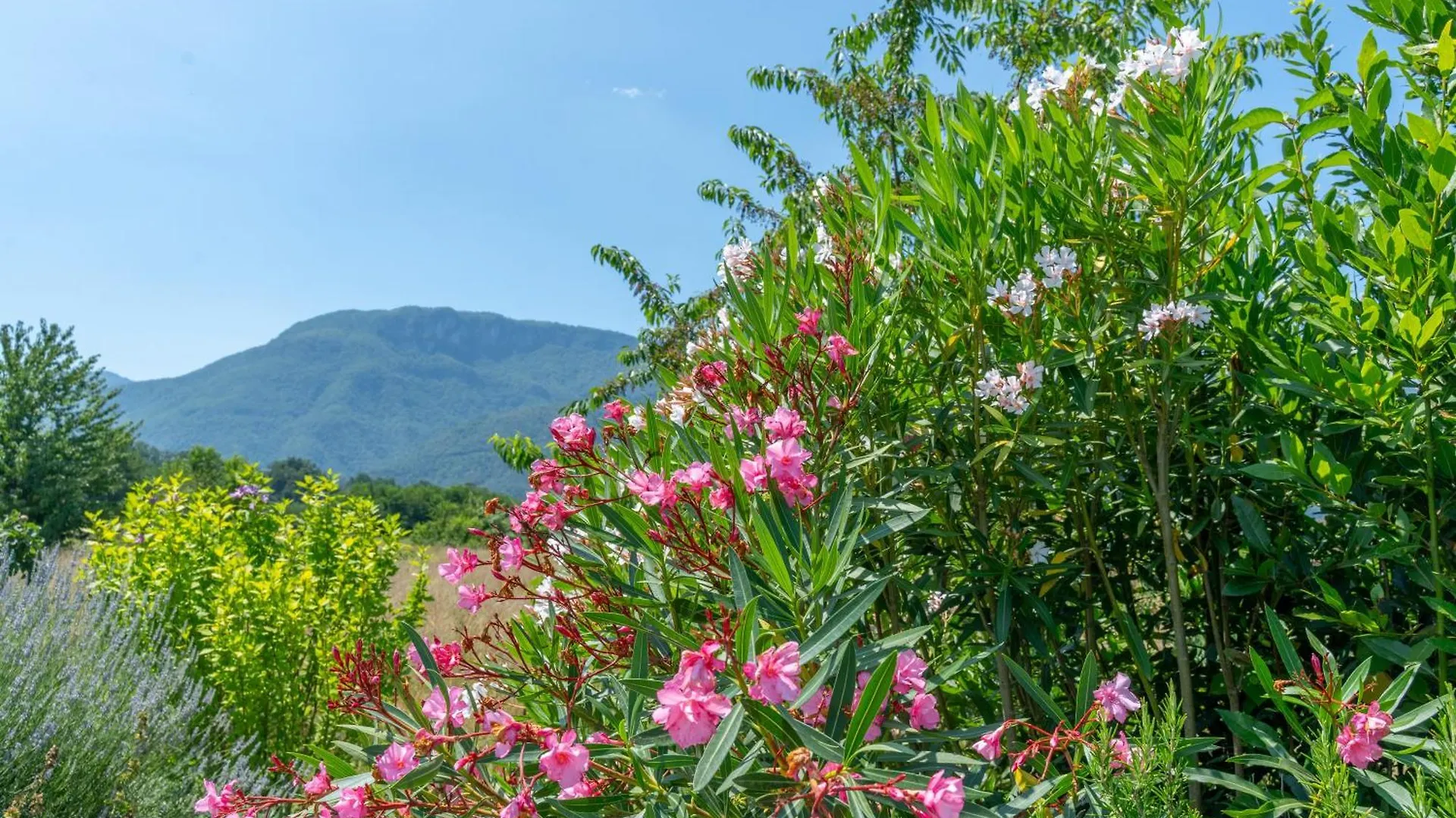 Al Maneggio - Tuscan Farmhouse Barga Holiday home