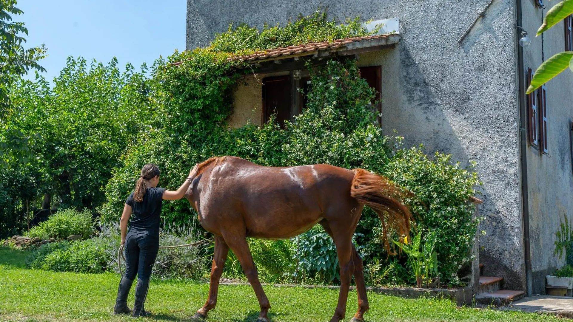 Al Maneggio - Tuscan Farmhouse Barga Italy